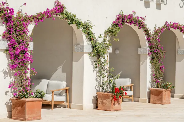 Junior Suite Deluxe 5